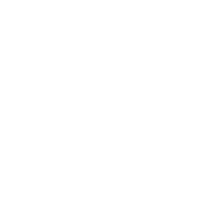 Vegas.io 500x500_white